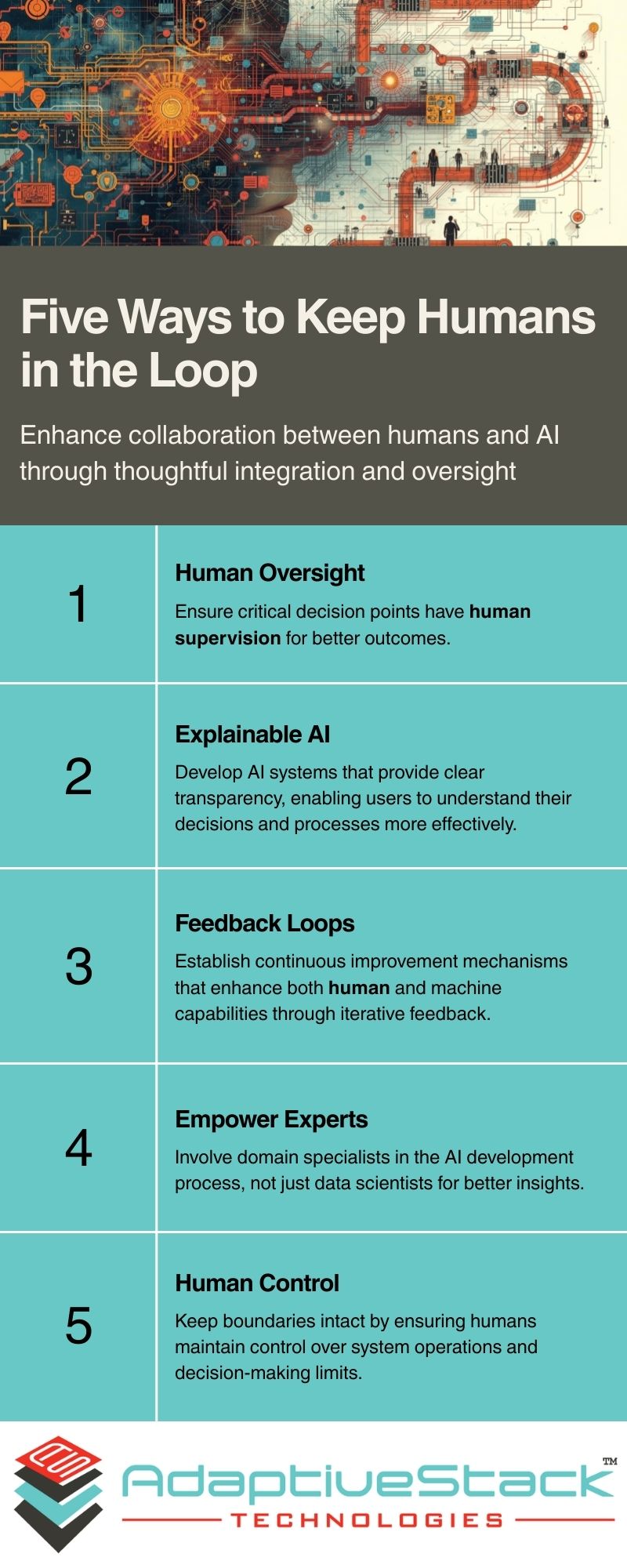 Human in the Loop Infographic
