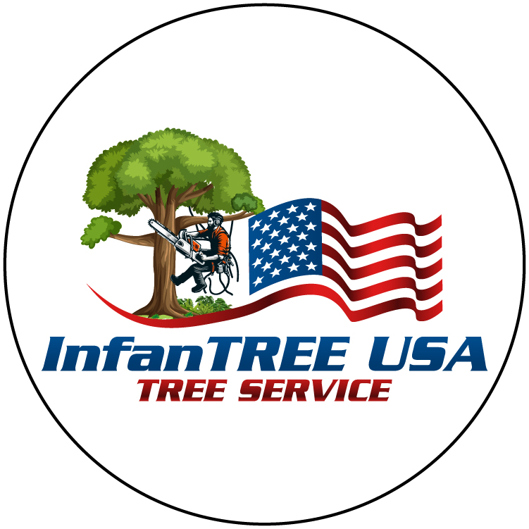 InfanTREE USA